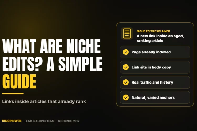 What Are Niche Edits? A Simple Guide