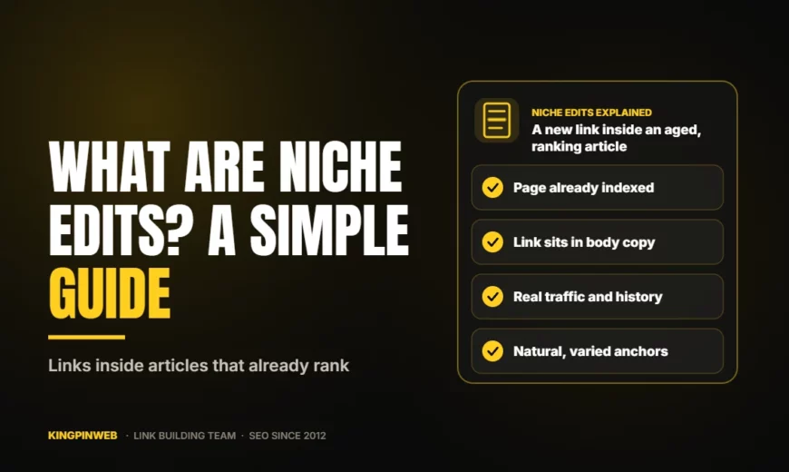 What Are Niche Edits? A Simple Guide